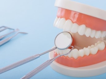 親知らずのイラスト