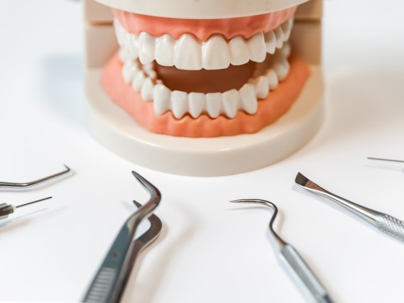 親知らずのイラスト